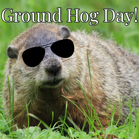 Ground Hog Day Eau Claire