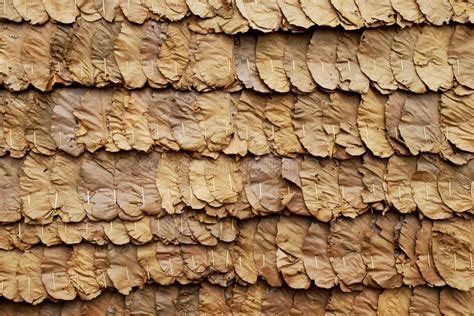 Teak Leaves Roof Texture Background Stock Image Image Of Backdrop