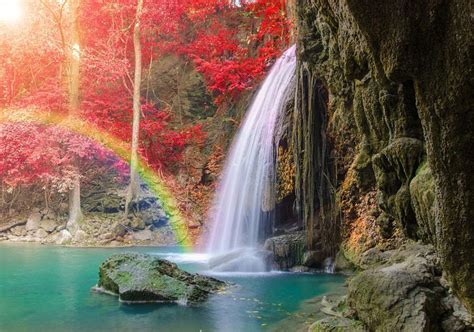 S M0key Wonderful Waterfall With Rainbows And Red Leaf In Deep Forest