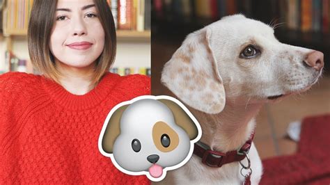 Adottare un cane del canile è un'azione molto generosa per chiunque decida di farla. 3 Motivi per Adottare un Cane + La Mia Esperienza - YouTube