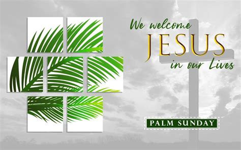 March 28 2021 Palm Sunday Of The Lords Passion Gospel Reflection