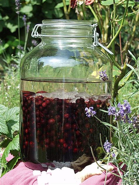 Cassis selbstgemacht von schorsch12 Chefkoch