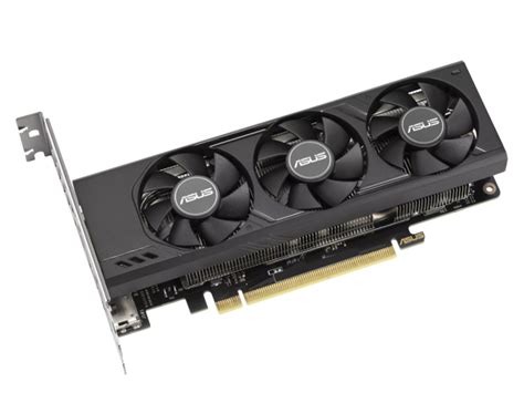 Asus Quietly Introduces Low Profile Geforce Rtx Graphics Card