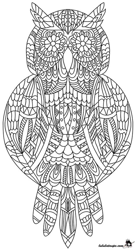 Libre à vous de les télécharger et de les imprimer. Coloriage adulte, un hibou - Lulu la taupe, jeux gratuits ...