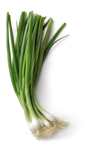 Vegetables Spring Onion Isolated On White Background Stock