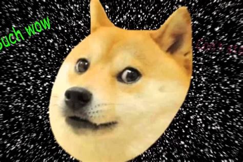 1080 X 1080 Doge Doge Background ·① Download Free Cool Wallpapers For
