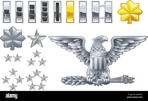 Set Of Military American Army Officer Ranks Insignia Icons Stock Vector