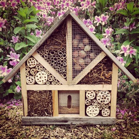 Insect Hotel Insect Hotel Mason Bees Trees To Plant