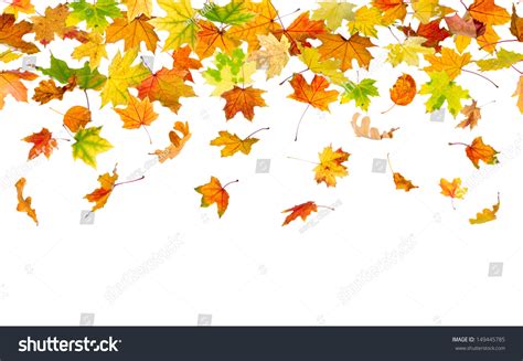 Seamless Pattern Of Autumn Leaves Falling Down Stock