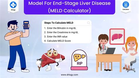 Best Meld Score Calculator For Liver Disease Drlogy