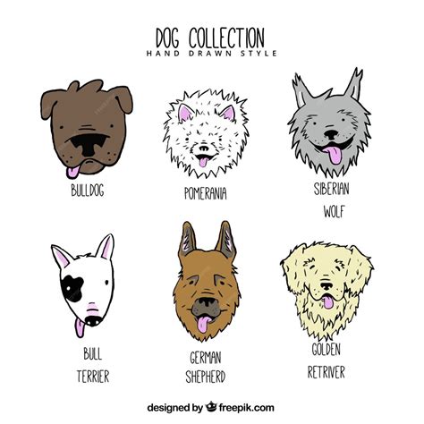 Premium Vector Hand Drawn Dogs Of Different Breeds