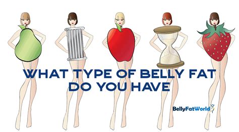 type of belly fat the difference in belly fat types visceral vs subcutaneous belly fat world