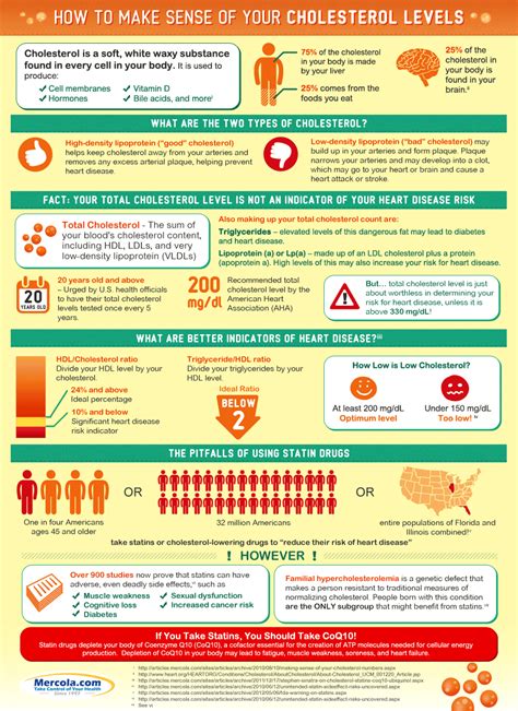 How To Make Sense Of Your Cholesterol Level Infographic