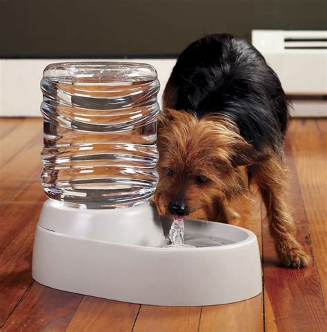 Dog And Cat Water Fountain 62 Oz Automatic Pet Fountain Dog Water