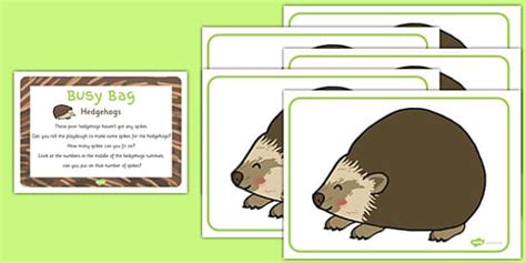 Hedgehog Busy Bag Prompt Card And Activity Pack Twinkl