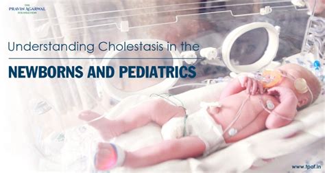 Understanding Cholestasis In The Newborns And Pediatrics Tpaf