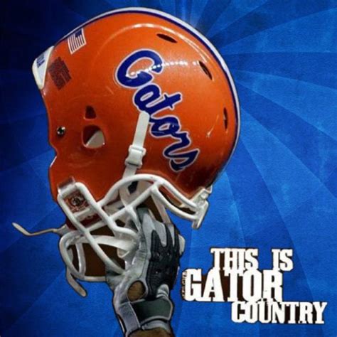 Go Gators Fla Gators Florida Gators Football College Football