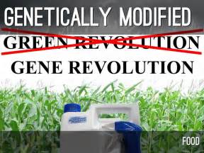 Genetically Modified Food By Nilay Bhayani