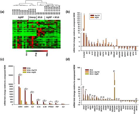 Comparison Of Agnp Induced Tlr Signaling Pathway Specific Gene