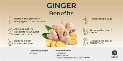 Benefits Of Ginger From Sri Lanka FAQ On Ceylon Spices EDB Sri Lanka