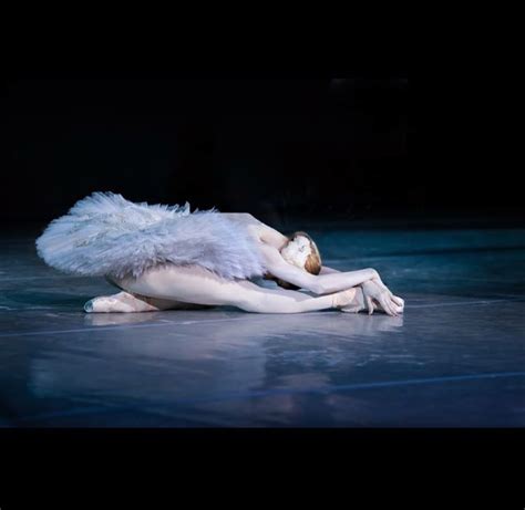Pin By Patty Lecompte On Ballerina 1 Ballet Dancers Ballet Dance
