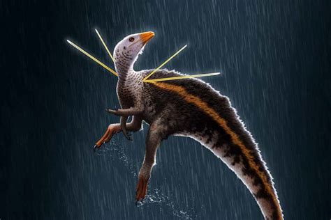 Bizarre Dinosaur Had A Mane Of Fur And Rods On Its Shoulders New