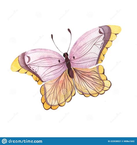 Watercolor Illustration With A Bright Pink Butterfly Abstract Summer