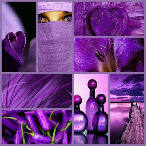 Purple Love All Things Purple Shades Of Purple Purple Color Purple