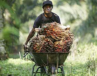 7 perempuan dan 2 lelaki. Khabarkini: Bingung Diisytihar Muflis Walau Tak Berhutang