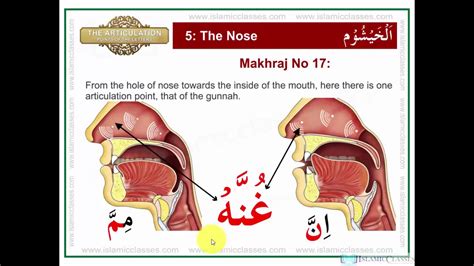 10,000+ learning activities, games, books, songs, art, and much more! Makhraj No 17/17 - Makhraj of Ghunnah - Articulation Points of Arabic Letters - YouTube