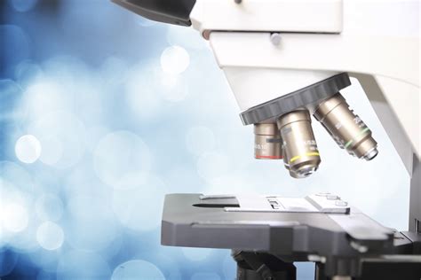 Compound Vs Stereo Microscopes Whats The Difference Unitron News