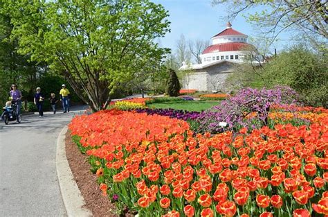 Cincinnati Zoo And Botanical Garden Alles Wat U Moet Weten Voordat Je
