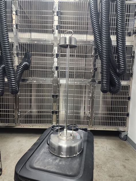 Paws Fur Grooming | Meet the Best Dog Groomer Near You!