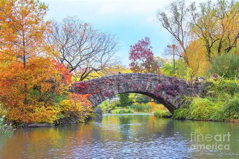 Central Park Autumn Beauty Photograph By Regina Geoghan