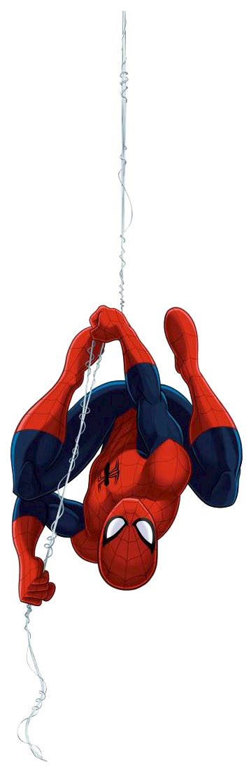 Black male and female genitals.jpg 2,072 × 700; Spider clipart hang, Spider hang Transparent FREE for ...