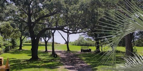 Homeadvisor.com has been visited by 100k+ users in the past month Welcome to Kennedy Tree Service! Biloxi, MS