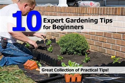 10 Expert Gardening Tips For Beginners