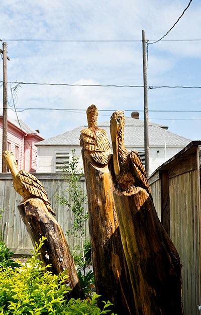 Dead Tree Sculptures In Galveston Island Cool Damn Pictures