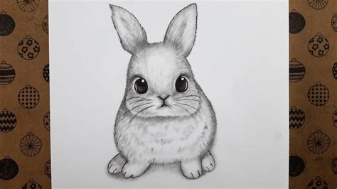 Kolay Karakalem Tavşan Çizimi Adım Adım Nasıl Yapılır Karakalem Kolay