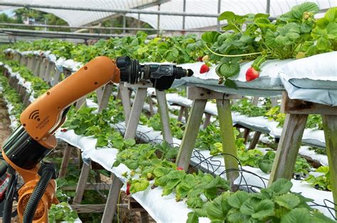 5 Teknologi Pertanian Masa Depan Yang Berkelanjutan