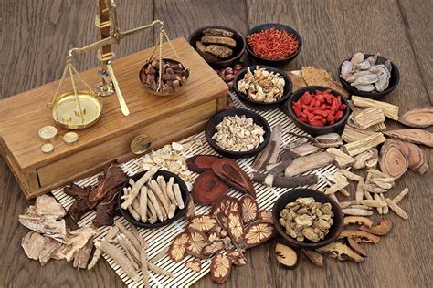 Www.deutschalsfremdsprache.ch (ab klasse 4) vielfältige themen / arbeitsblätter für daz. Ernährung nach TCM | GuteKueche.at