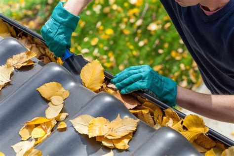 Gutter Cleaning Tips Every Homeowner Should Know