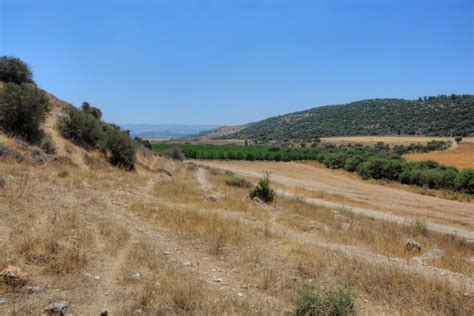 Valley Of Elah Biblewalks 500 Sites