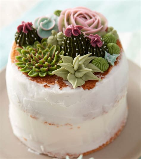 How To Make A Succulent Naked Cake Joann