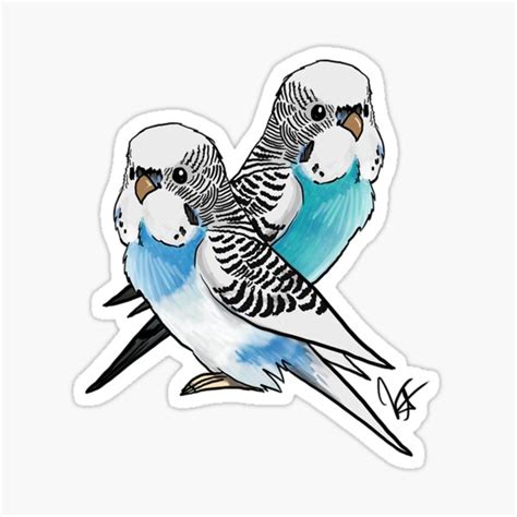 Blue Budgies Ts And Merchandise Redbubble