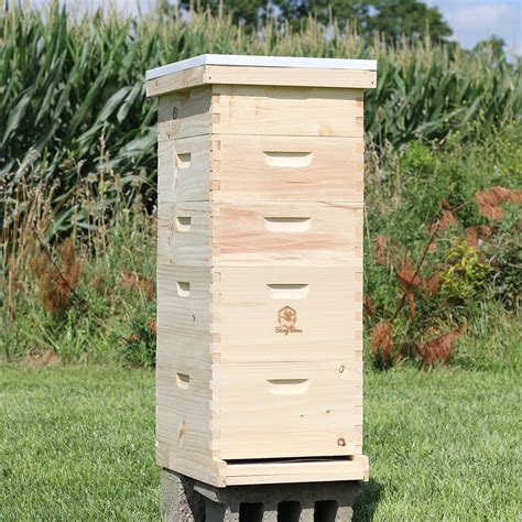 Bee Hive 10 Frame Langstroth 2 Deep Brood Boxes And 3 Etsy