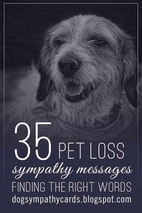 Words and Verses of Condolence for Pets | Pet sympathy ...
