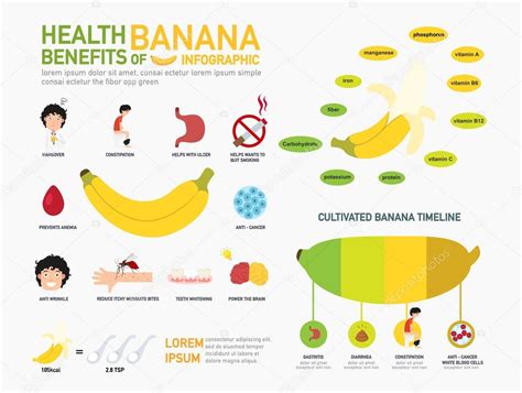 Health Benefits Of Banana Infographicsvector Stock Illustration By