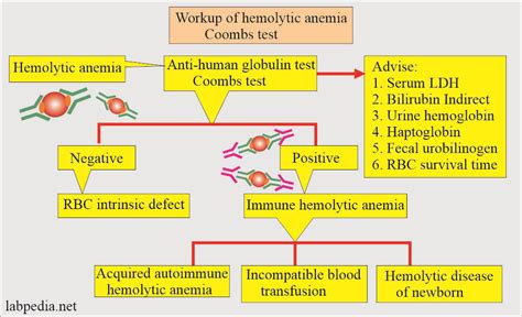 Coombs Test Direct For The Detection Of Antibody