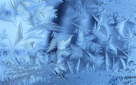 Frost Wallpapers Top Free Frost Backgrounds Wallpaperaccess